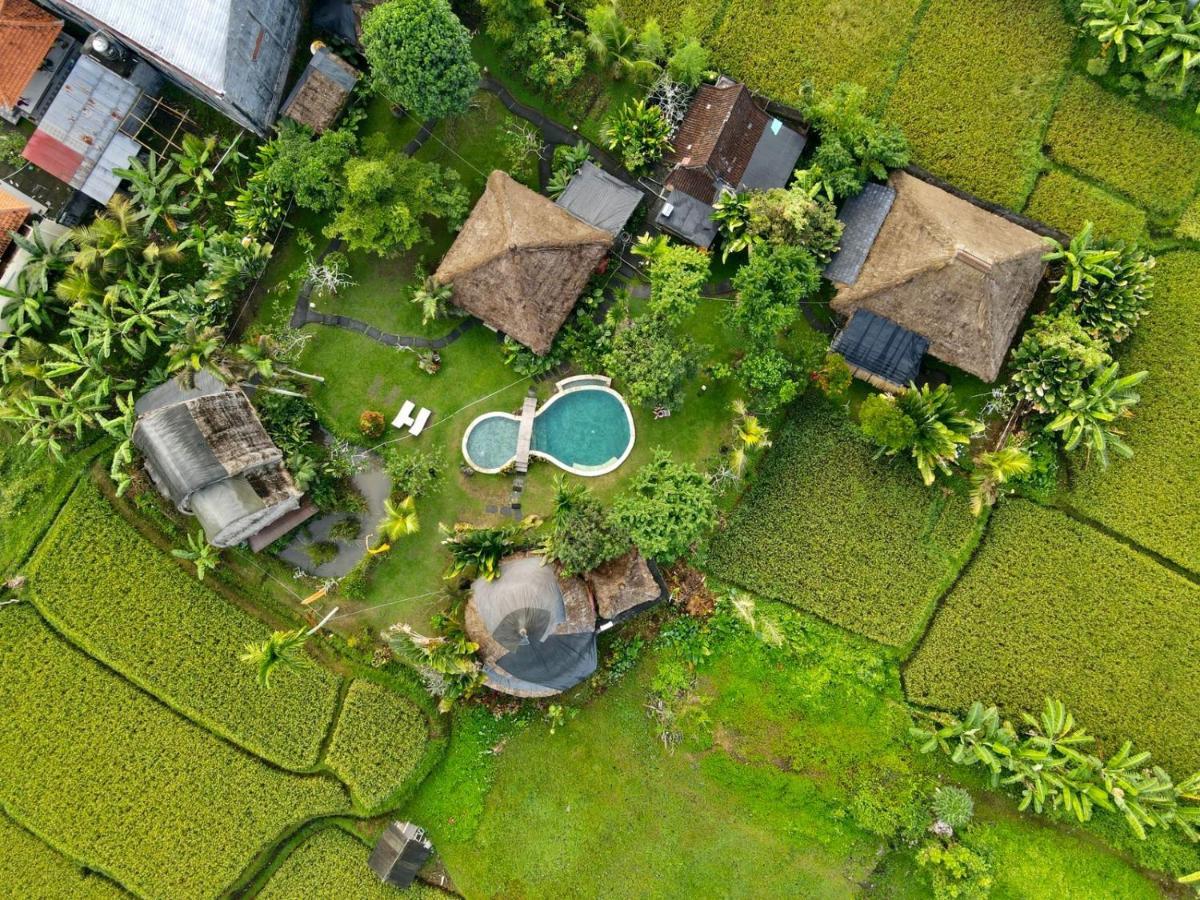 Ubud Hidden Villa Yone Village Extérieur photo