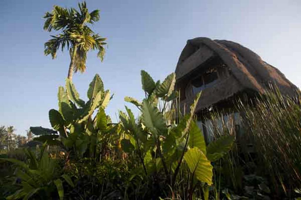 Ubud Hidden Villa Yone Village Extérieur photo