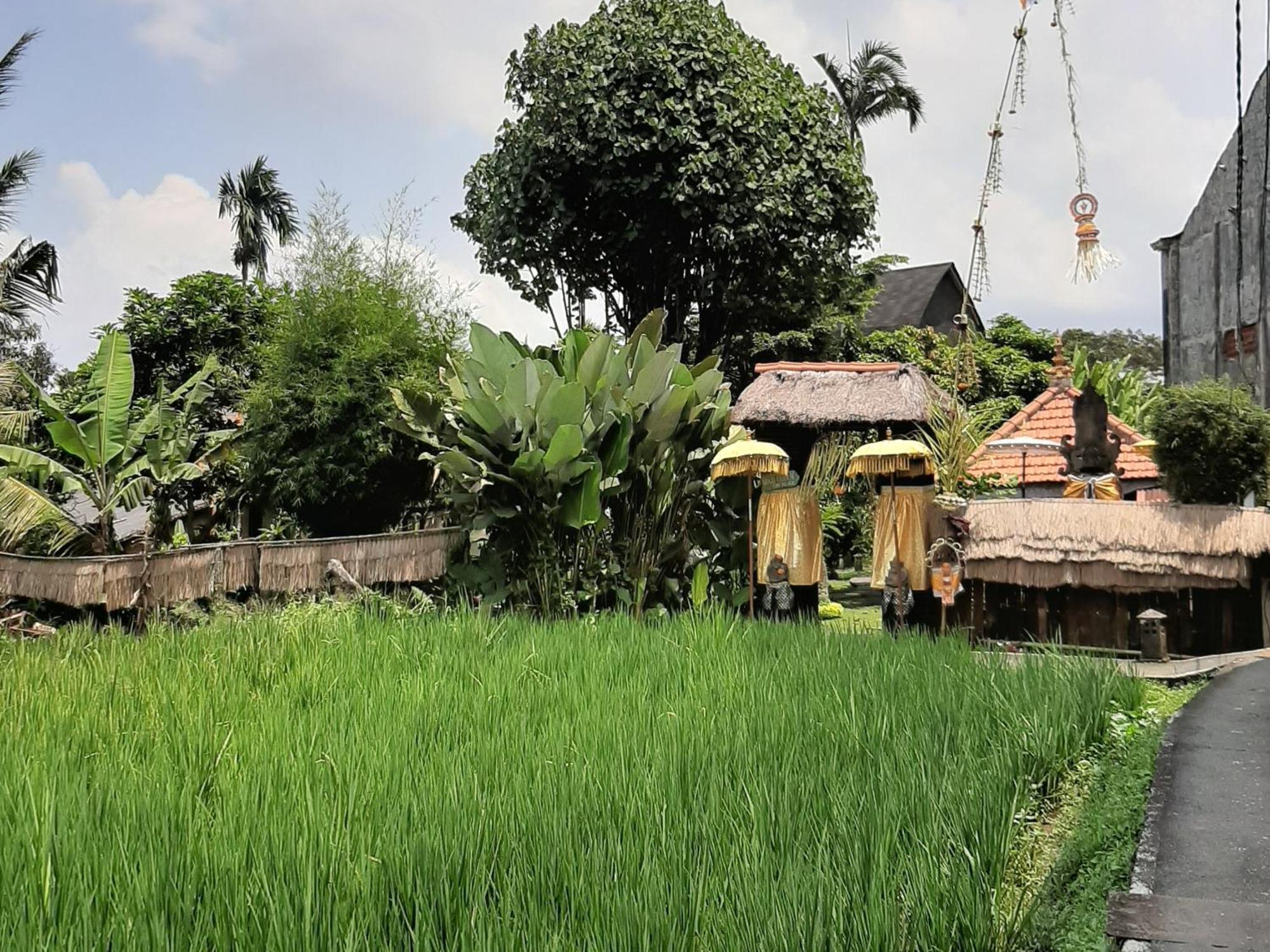 Ubud Hidden Villa Yone Village Extérieur photo
