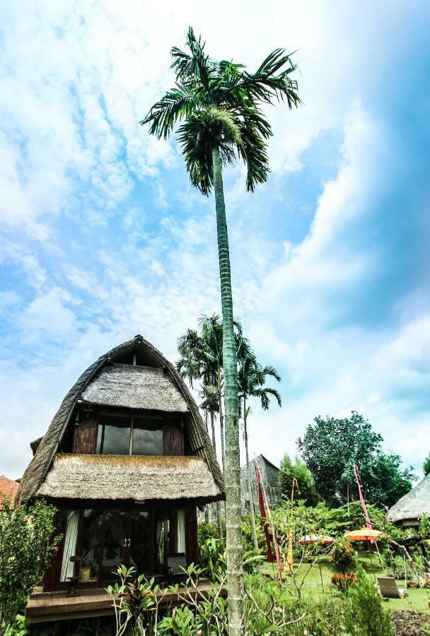Ubud Hidden Villa Yone Village Extérieur photo